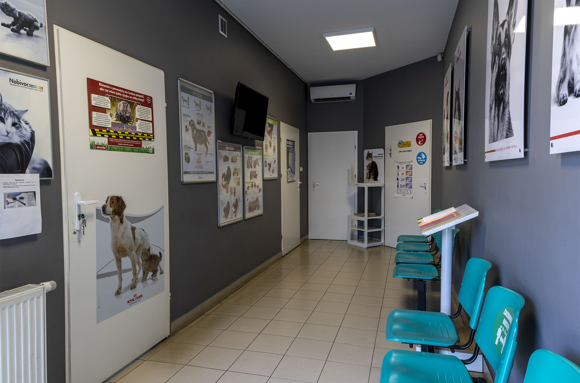 Weterynaria Pabianice - gabinet - galeria