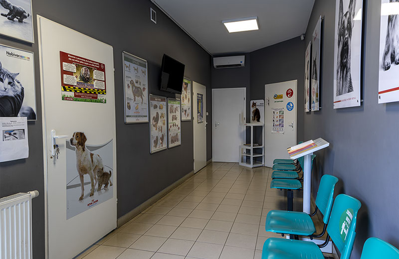 Weterynaria Pabianice - gabinet - galeria