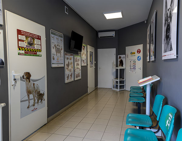 Weterynaria Pabianice - gabinet - galeria