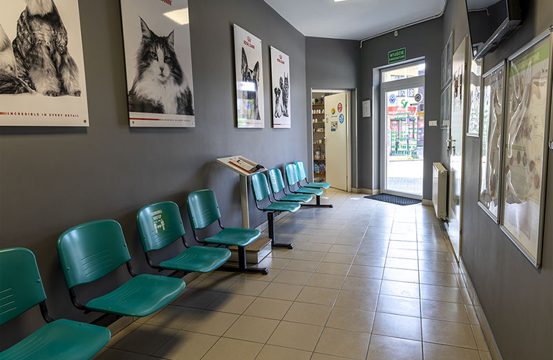 Weterynaria Pabianice - gabinet - galeria