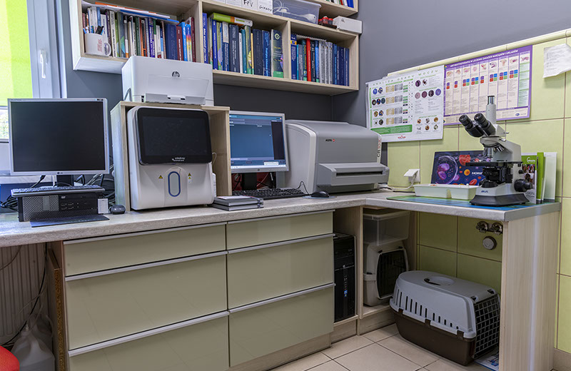 Weterynaria Pabianice - gabinet - galeria