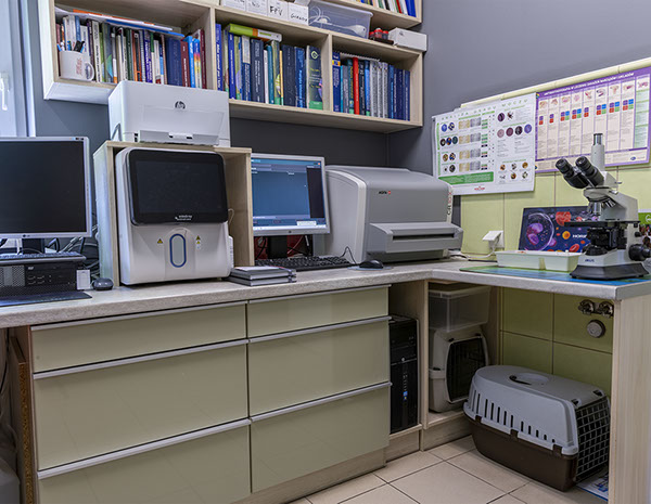 Weterynaria Pabianice - gabinet - galeria