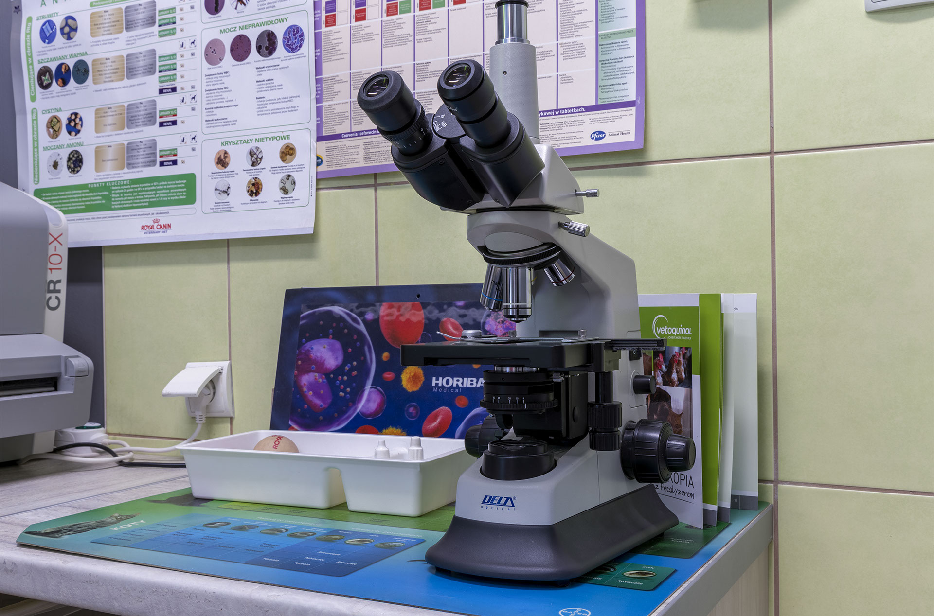 Weterynaria Pabianice - gabinet - galeria