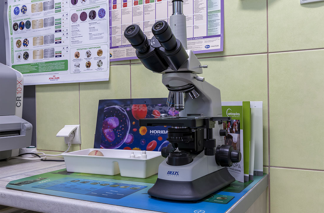 Weterynaria Pabianice - gabinet - galeria