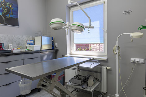 Weterynaria Pabianice - gabinet - galeria